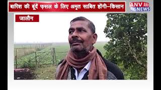 जालौन : रिमझिम बारिश किसानों के चेहरों पर लाई मुस्कान