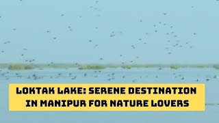 Loktak Lake: Serene Destination In Manipur For Nature Lovers | Catch News