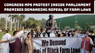 Congress MPs Protest Inside Parliament Premises Demanding Repeal Of Farm Laws | Catch News