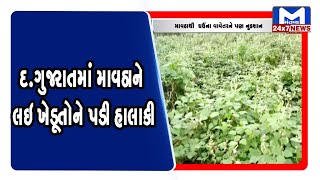 દ.ગુજરાતમાં માવઠાને લઇ ખેડૂતોને પડેલી હાલાકી મુદ્દે મંતવ્ય ન્યૂઝ પર કરી ખાસ વાતચીત  । MantavyaNews