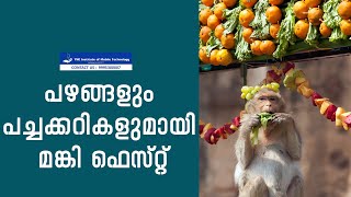 പഴങ്ങളും പച്ചക്കറികളുമായി മങ്കി ഫെസ്റ്റ് | Monkey Fest with fruits and vegetables | News60