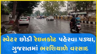 સ્વેટર છોડી રેઇનકોટ પહેરવા પડ્યા, ગુજરાતમાં ભરશિયાળે વરસાદ