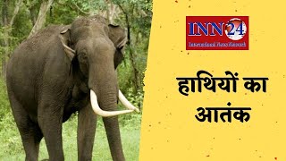 Ambikapur__हाथियों का आतंक से  ग्रामीण परेशान
