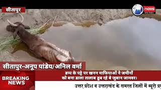डप्प के पट्टे पर खनन माफियाओं ने जमीनों को बना डाला तालाब डूब रहे बे जुबान जानवर NewsOneIndia.