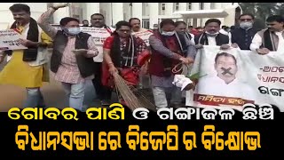 BJP MLAs Create Ruckus In Odisha Assembly Over Mamita Meher Murder Case