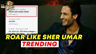 Umar Riaz के Fans का सोशल मीडिया पर हंगामा ROAR LIKE SHER UMAR Trending | Bigg Boss 15