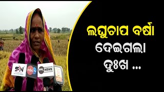 Cyclone Jawad Updates | ଲଗାଣ ବର୍ଷା ରେ ବେହାଲ୍ ଚାଷଜମି | ଚାଷୀକୂଳ ହତାଶ!