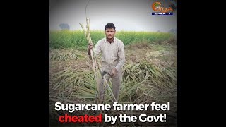 Sugarcane farmer feel cheated by the Govt!