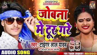जोबना में टूर गरे - Tiger Lal Yadav - Jobna Mein Toor Gare - Bhojpuri Hit Songs 2020