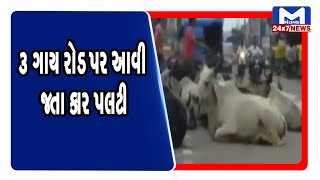 Vadodara: 3 ગાય રોડ પર આવી જતા કાર પલટી | Mantavya News