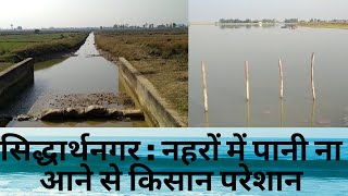 सिद्धार्थनगर  : नहरों में पानी ना आने से किसान परेशान
