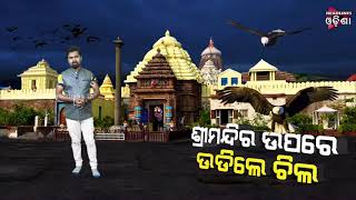 Eagle Found Flying On Patitapabana Flag Atop Puri Srimandira ||Headlines Odisha