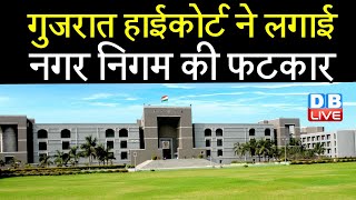 Gujarat High Court ने लगाई नगर निगम की फटकार | Non-Veg Ban पर नगर निगम को लगी फटकार | #DBLIVE