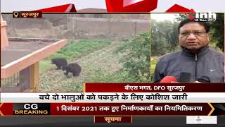 CG News || Surajpur, वन विभाग को मिला बड़ी सफलता पिंजरे में कैद हुआ एक भालू