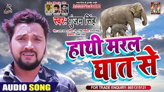 हाथी मरल घात से | #Gunjan Singh | हाथी मेरे साथी | Bhojpuri Sad Song 2020
