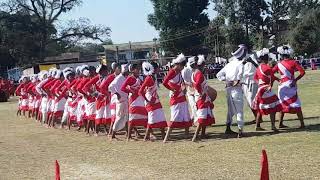 Jhumur dance of Assam Tea tribe