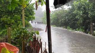 scene of our village on rainy days