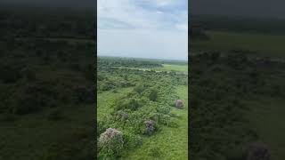 An bird eye view of Kaziranga National park