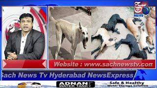 HYDERABAD NEWS EXPRESS | Awara Kutton Ne Li 12 Bakriyon ki Jaan | SACH NEWS |