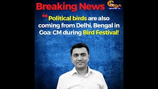 Political birds are also coming from Delhi, Bengal in Goa: CM during Bird Festival!