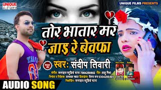 #ये गाना सुन कर आप रो देंगे #बेवफाई_सांग_2020 - तोर भतार मर जाई रे बेवफा - Sandeep Tiwari #SAD SONG