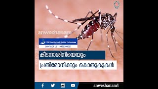 കീടനാശിനിയെയും പ്രതിരോധിക്കും കൊതുകുകൾ | Global Warming and Mosquitoes Malayalam | News60