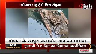 Madhya Pradesh News || Bhopal, कुएं में गिरा तेंदुआ रेस्क्यू ऑपरेशन जारी