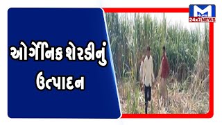 Jetpur : ઓર્ગેનિક શેરડીનું ઉત્પાદન