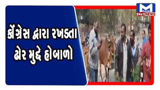 Bhavnagar : પશુ સાથે કોંગ્રેસના આગેવાનો પહોંચ્યા મનપા કચેરી