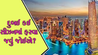What is the craze of going to Dubai? | ABTAK MEDIA