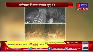 Sariska Tiger Reserve | सरिस्का में दो शावकों के साथ नजर आई बाघिन ST- 19, बाघों का कुनबा बढ़कर हुआ 25