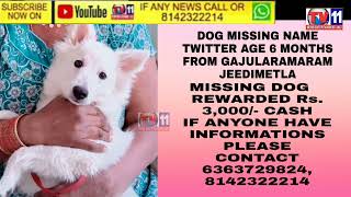 MISSING DOG   WARDED Rs. 3,000/- CASHI ANYONE HAVE INFORMATIONS PLEASE CONTACT6363729824, 8142322214