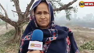 Alipur Division अवैध कॉलोनी हेतु Khampur में काटा जा रहा है 100 साल पुराना पेड़