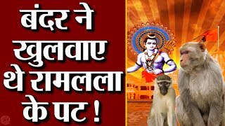 Ram Mandir का सबसे बड़ा रहस्य, आपको भी नहीं पता होगा, मंदिर पर बन्दर की क्या थी भूमिका ?