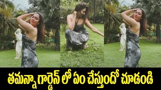 Thamanna Hot Looks In Garden | Thamanna Garden Video | Top Telugu TV
