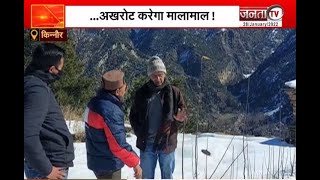 Himachal Vishesh: किन्नौर के बागवान ने किया कमाल, विपरित परिस्थितियों में उगाया अखरोट | Janta TV |
