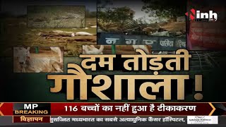 Madhya Pradesh News || Shivraj Singh Government दम तोड़ती गौशाला !
