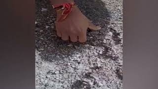 #ViralVideo | Pernem locals expose the quality of newly laid road!