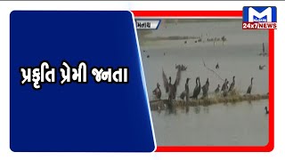 Gir Somnath : જિલ્લાની પ્રકૃતિ પ્રેમી જનતા | MantavyaNews