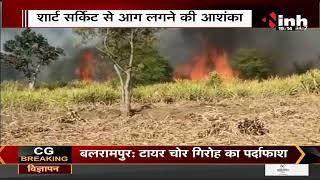 Chhattisgarh News || Kawardha में गन्ने की फसल में लगी भीषण आग
