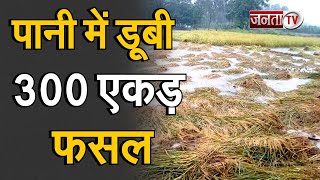 Julana: पानी में डूबी 300 एकड़ गेहूं की फसल, किसानों ने की स्पेशल गिरदावरी की मांग | Janta Tv |