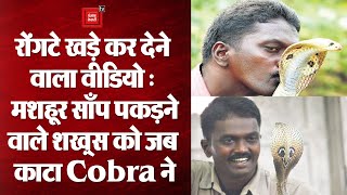 केरल के मशहूर साँप पकड़ने वाले को Cobra ने काटा, बहुत तेज़ी से वीडियो हो रहा वायरल।