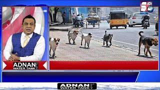 HYDERABAD NEWS EXPRESS | Road Side Dog Ko Jaan Se Mara Gaya | SACH NEWS |