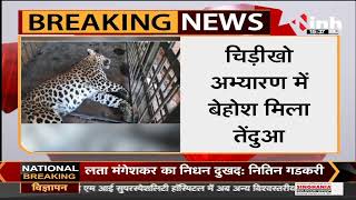 Madhya Pradesh News || Narsinghgarh में बेहोश मिला तेंदुआ, उपचार के लिए भोपाल वन विहार भेजा