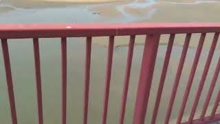 Development:Look at the condition of the railing on this bridge!This bridge is not even 2 years old!