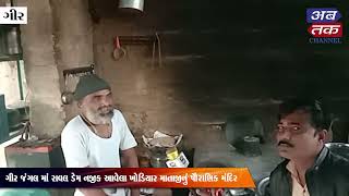 In Sir's Khodiyar where Mahant Kabutar Bapu serves thousands of pigeons, watch the video