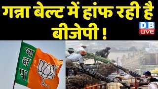 गन्ना बेल्ट में हांफ रही है BJP ! मुसलमान और गन्ना Kisan किसके साथ, परेशान BJP | UP Election 2022 |