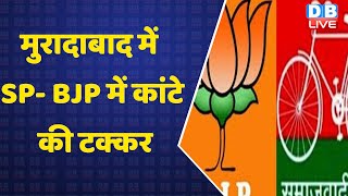 मुरादाबाद में कांटे की टक्कर | Moradabad Public Opinion |UP Election |CM Yogi| Breaking News #DBLIVE