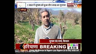 Hamirpur: हिमाचल में केसर की खेती कर किया कमाल, दूसरे किसानों को भी कर रहे प्रेरित