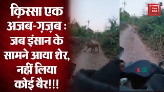Viral Video : जब सामने आकर खड़ा हुआ शेर, स्कूटी होते हुए भी नहीं भागे, जानिए आगे हुआ क्या ?